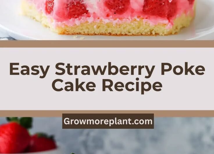 Strawberry Shortcake